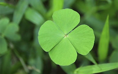 The creator of your own story